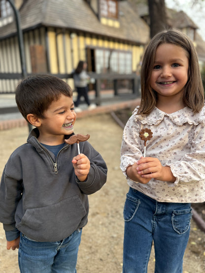 Paletas de chocolate