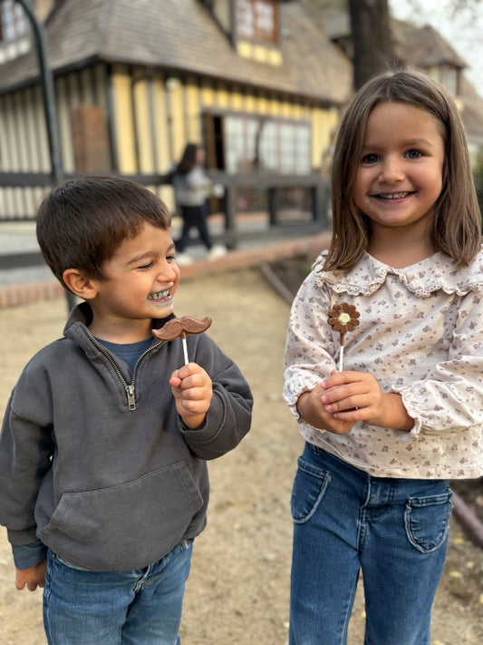 Paletas de chocolate
